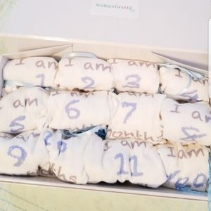 Babies First 12 Onesies one for each month